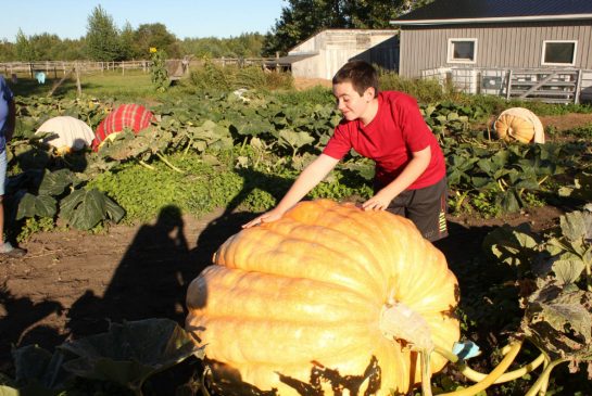 Simon’s Pumpkin Co-operative is Making News